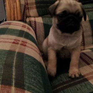 Meet your Posher, Mary